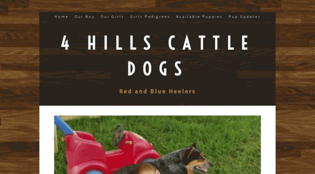 4hillscattledogs.yolasite.com