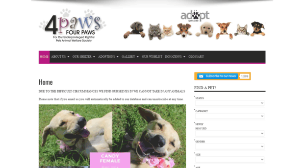 4ourpaws.org.za