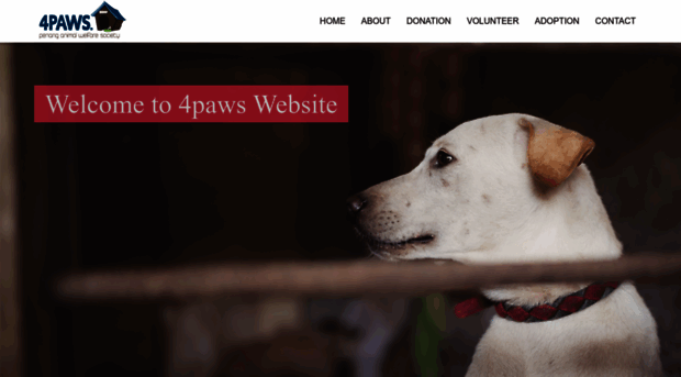 4paws.com.my