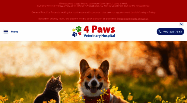 4pawsveterinaryhospital.com