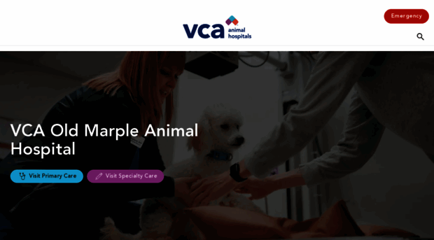 4pawsvethosp.com