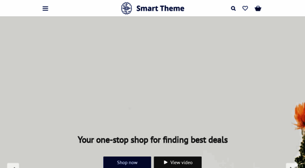 4smart-theme.alidropship.com