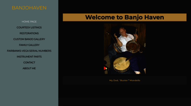 4stringbanjos.com