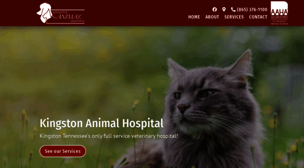 4vetcare.com