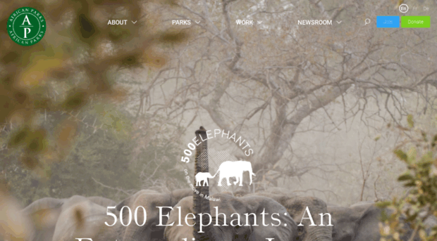 500elephants.org