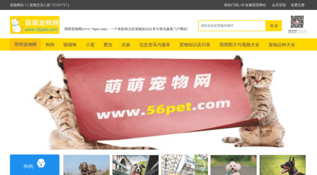 56pet.com