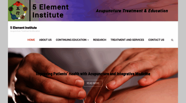 5elementinstitute.com