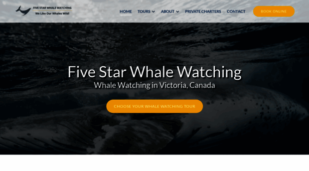 5starwhales.com