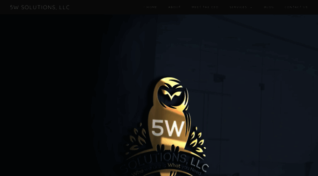 5wsolutions.com