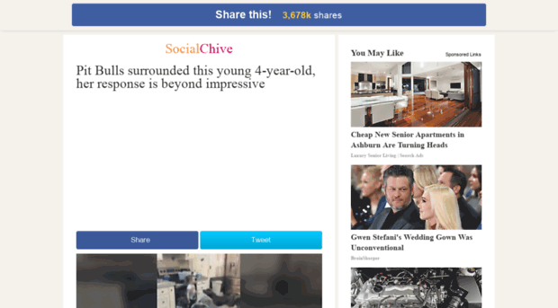 6-pit-bulls.socialchive.com