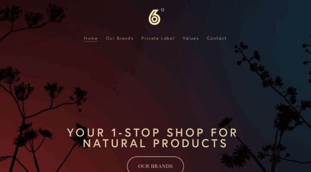6degreescollective.com