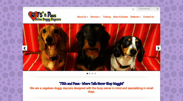 75paws.com