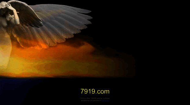 7919.com