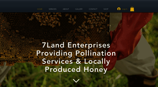 7landenterprises.com