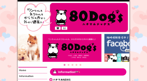 80dogs.jp