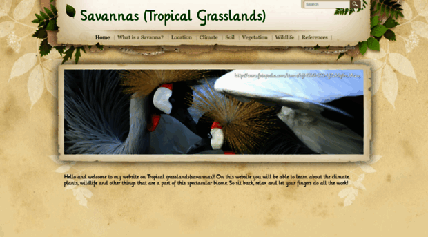 8kmdbsavannastropicalgrasslands.weebly.com