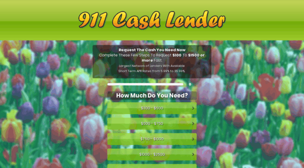 911cashlender.com