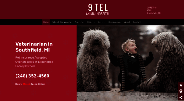 9telanimalhospitalmi.com