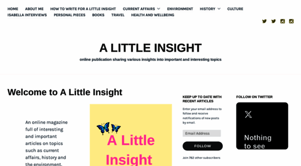 a-little-insight.com