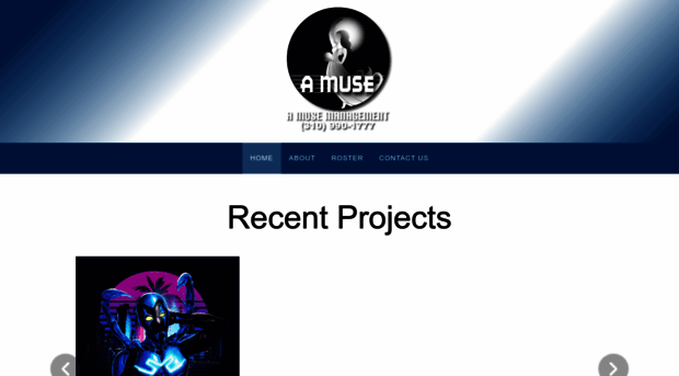 a-musemanagement.com