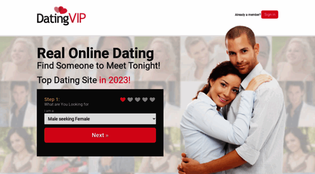 a1.datingvip.com