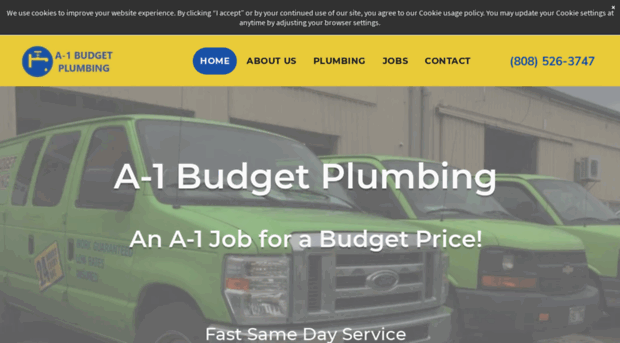 a1budgetplumbing.com