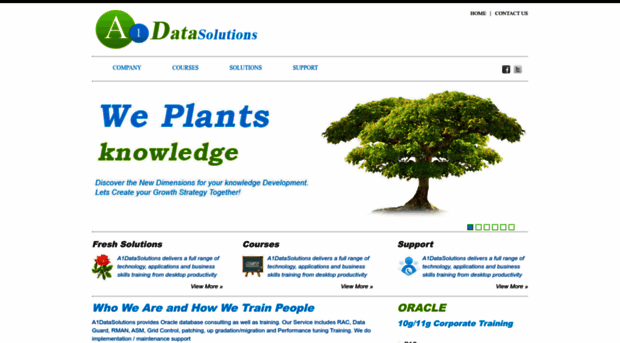 a1datasolutions.com