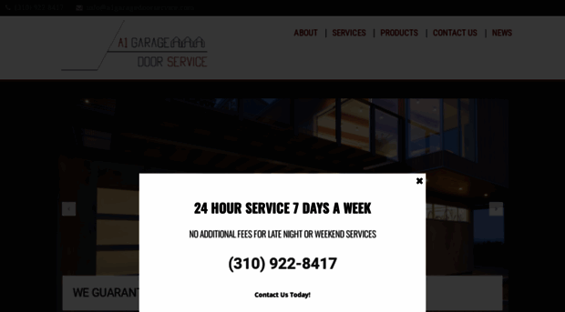 a1garagedoorservice.com