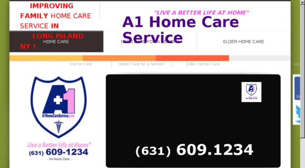 a1homecareservice.com