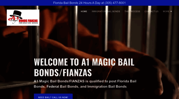 a1magicbailbonds.com