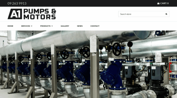 a1pumps.co.nz