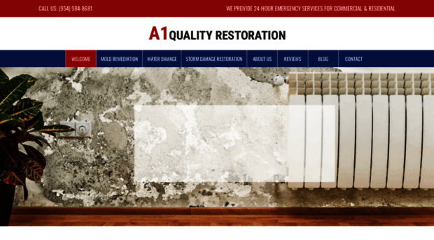 a1qualityrestoration.com