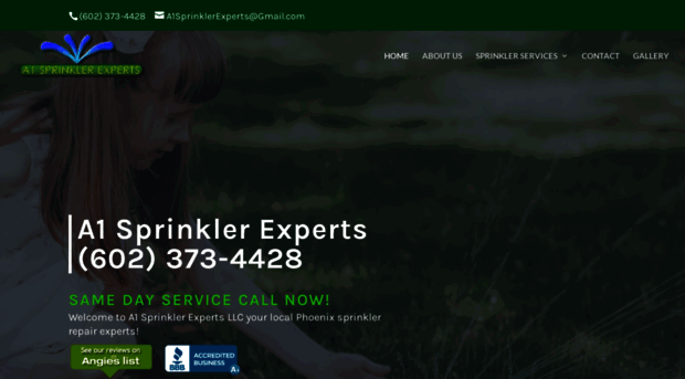 a1sprinklerexperts.com