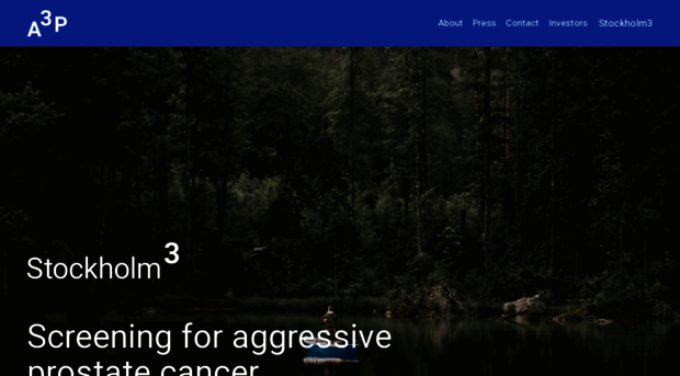 a3p.com