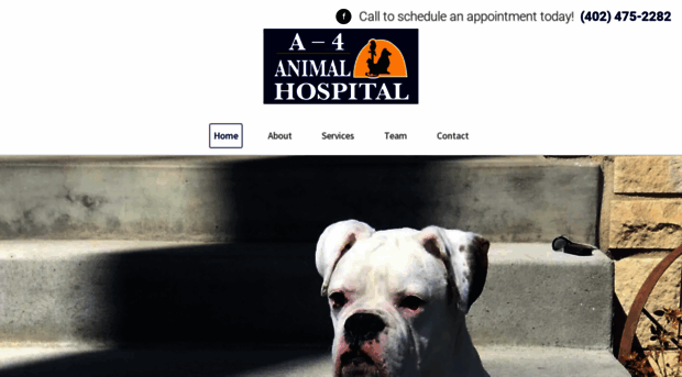 a4animalhospital.com