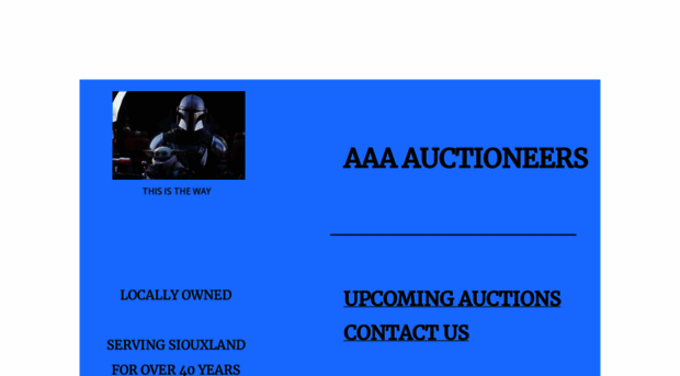aaaauctioneers.net