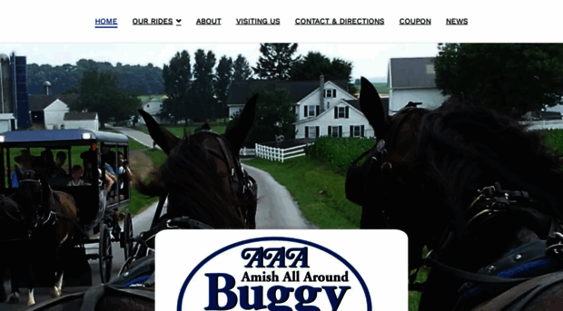 aaabuggyrides.com