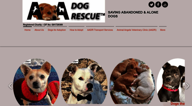 aadogrescue.org.uk