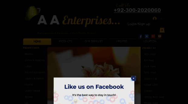 aaenterprises1.com