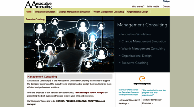 aaexecutiveconsulting.com