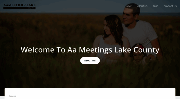 aameetingslakecounty.com