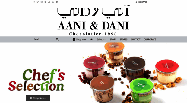 aani-dani.com