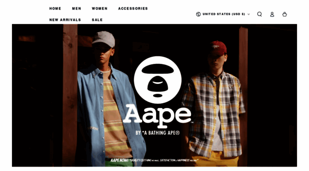 aapeus.com