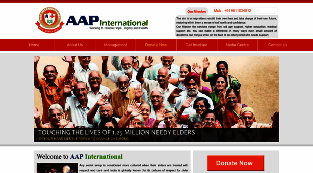 aapinternational.org