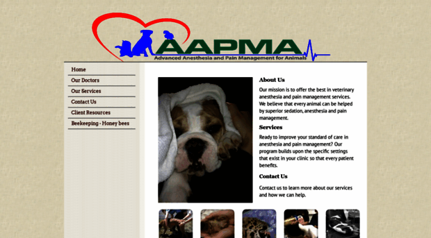 aapma.com