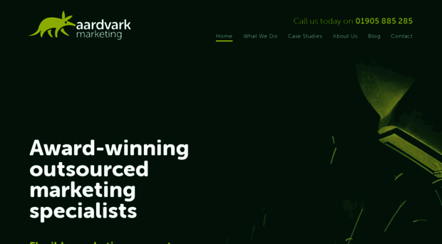 aardvarkmarketingconsultants.co.uk