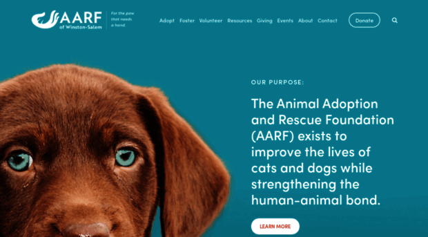 aarfanimals.org