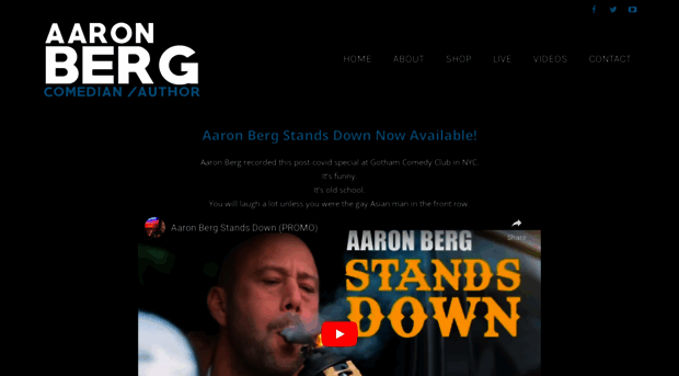 aaronberg.com