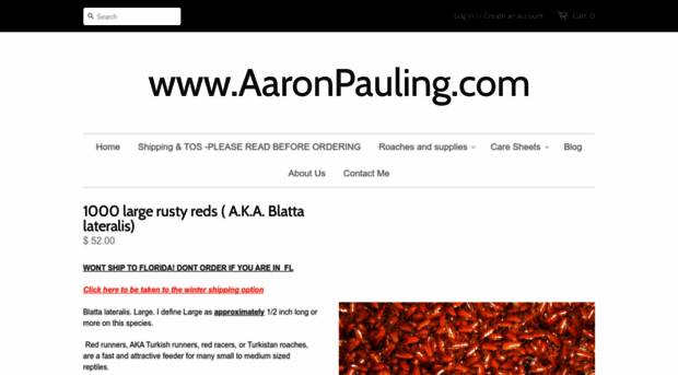 aaronpauling.com