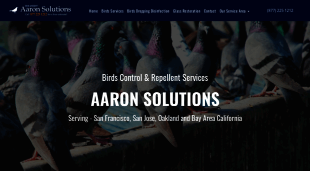 aaronsolutions.com